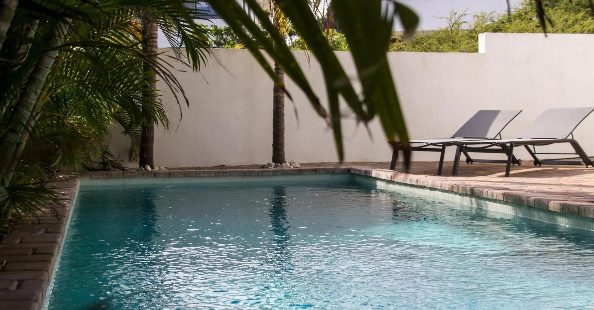 اتصالات Major. Suites Curacao 