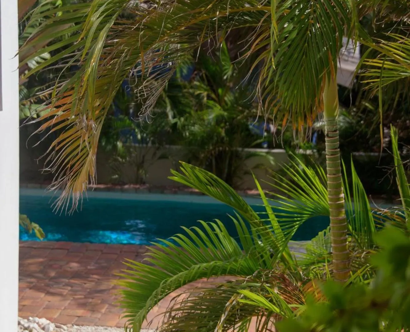 Major. Suites Curacao يلمستاد